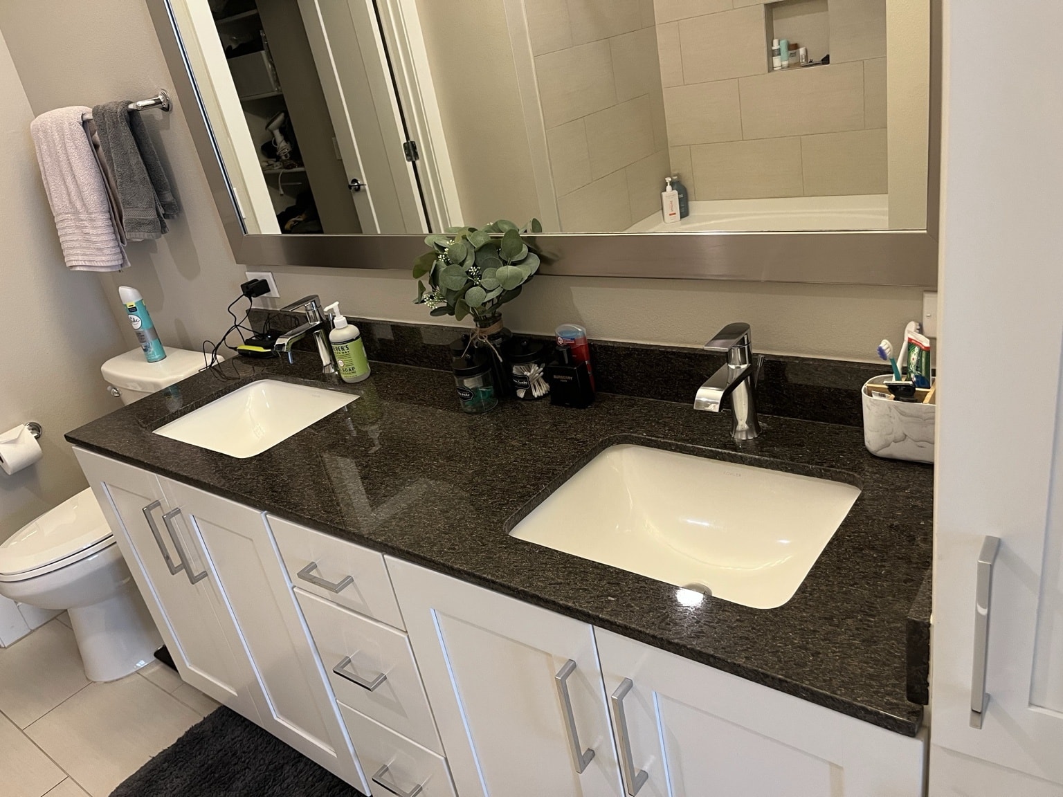 Bathroom double vanity after cleaning — sparkling dark granite countertop with eucalyptus